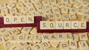 The Case Against Open Source
